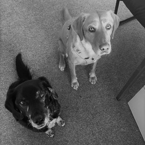 Gina + Luna