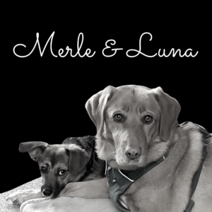 Merle & Luna