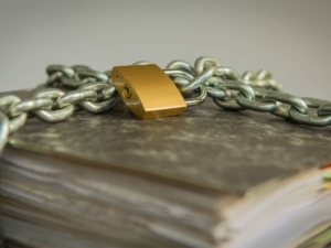 steuerberaterinnen_fleischer-schneider (1)